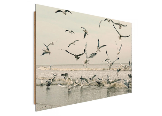 Taulu Kayaks 80x120 cm