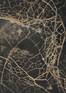 Juliste Leaf skeleton dark