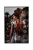 Taulu Daydream