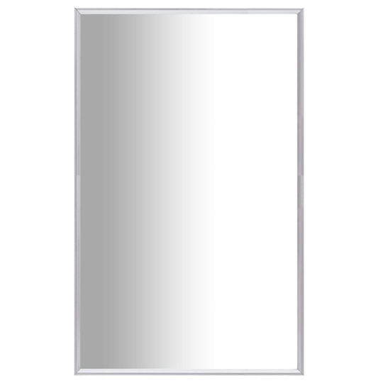 vidaXL Peili hopea 70x50 cm