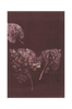 Juliste Pure Nature 5