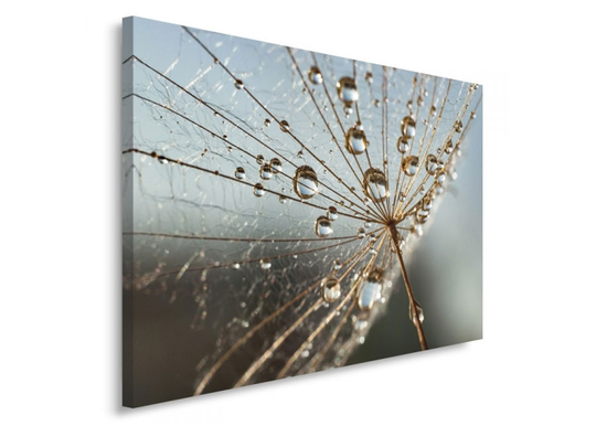 Taulu Drops of dew on the plant 40x50 cm