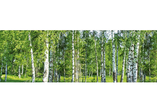 Keittiön välitila Birch Grow 350x60 cm