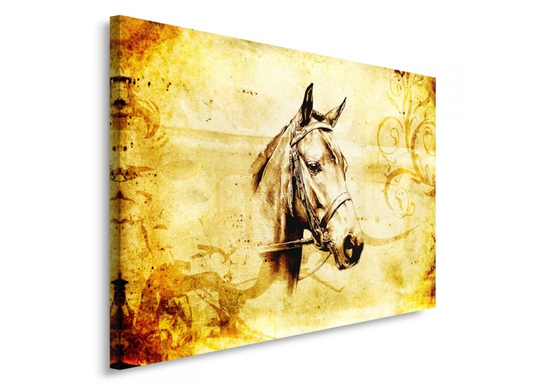 Taulu Horse head 60x80 cm