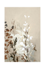 Juliste Light Leaves 8