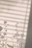 Juliste Flower shadow
