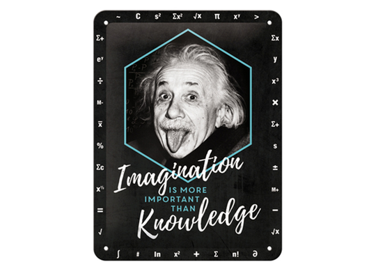 Retro metallitaulu Einstein - Imagination&Knowledge 15x20 cm